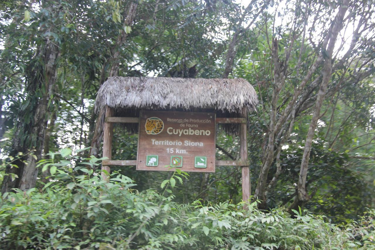 Green Forest Ecolodge Puerto Montufar Exteriör bild